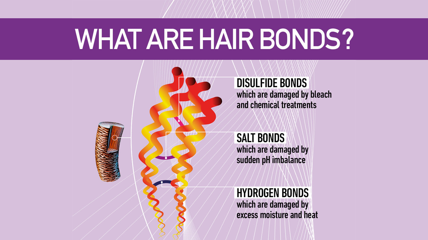 strengthen hair bonds